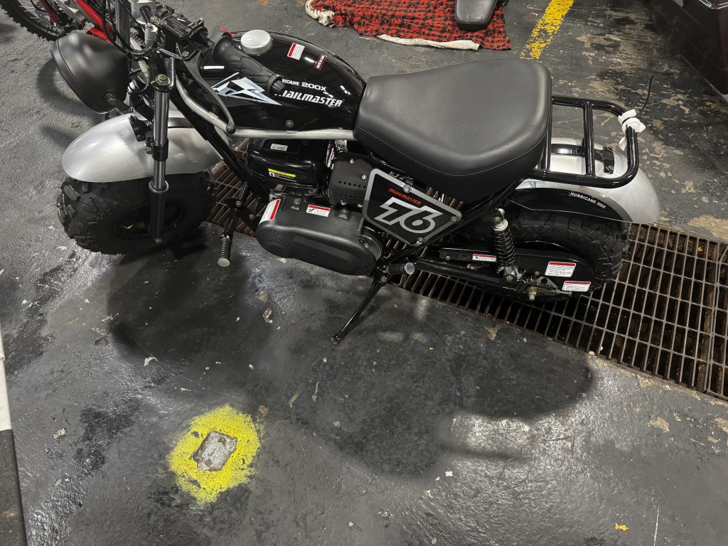Trailmaster MX250Pro
