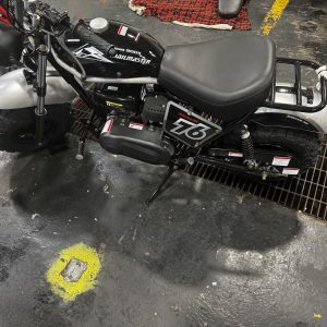 Trailmaster MX250Pro